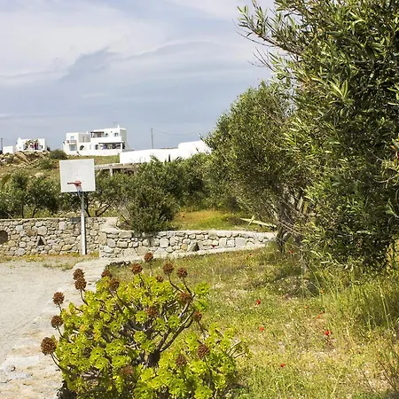 Anixi Lounge - Adults Only